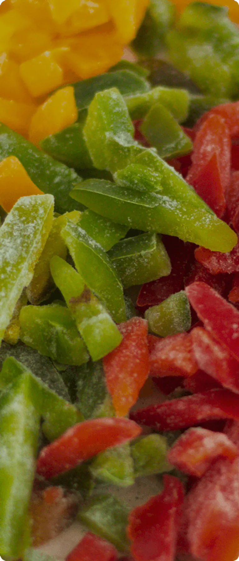 Fondo Formulario BioCongelados Mobile